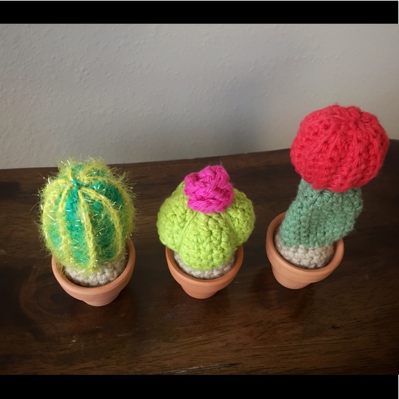 🌵Mini Cactus Set🌵 - Picture 2 of 3